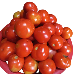 TOMAT