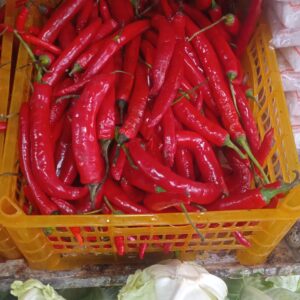 Cabe Besar