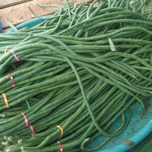 Kacang Panjang