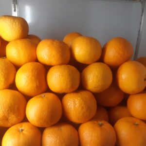 Jeruk Mandarin 1Kg