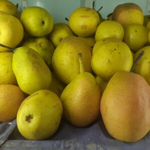 Pear Celina Pack Australia 1Kg
