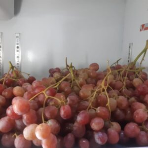 Anggur Merah Australia 1Kg