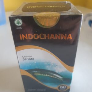 Indochanna, suplemen kesehatan yang mengandung ekstrak minyak ikan gabus (Channa Striata)